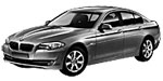 BMW F10 P252E Fault Code